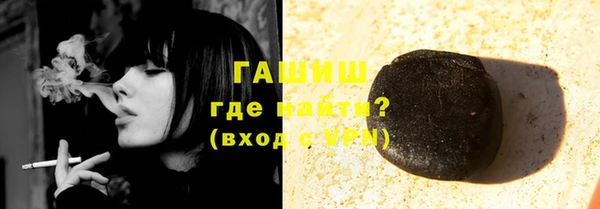 прущие грибы Бородино