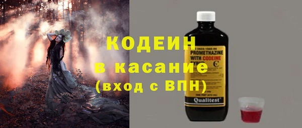 прущие грибы Бородино