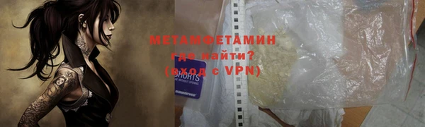 прущие грибы Бородино