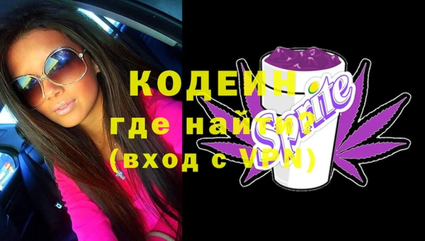 прущие грибы Бородино