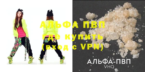прущие грибы Бородино